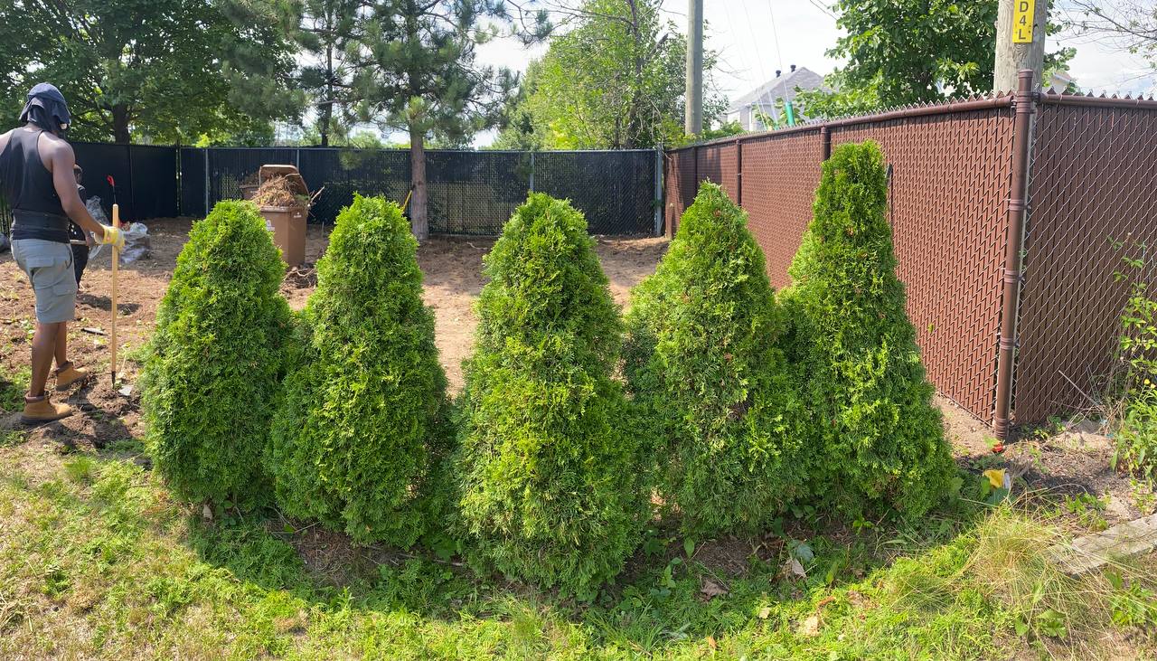 images des réalisations