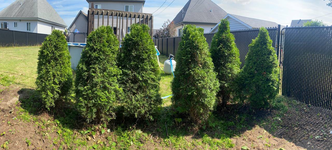 images des réalisations